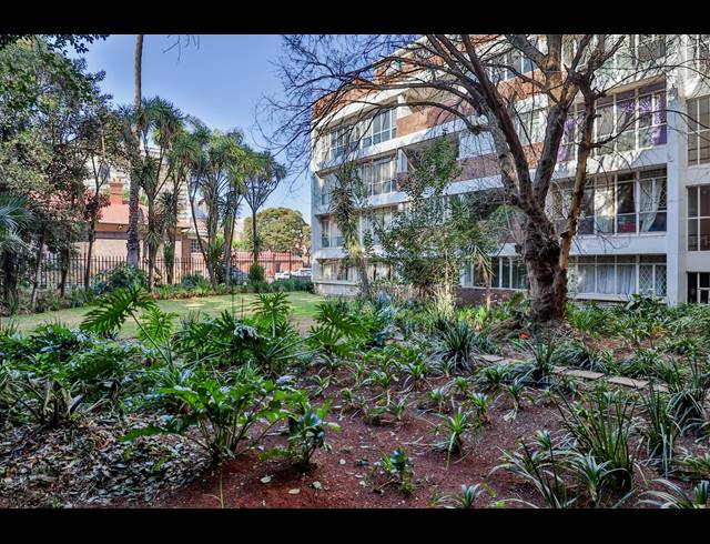 3 BEDROOM APARTMENT TO LET IN PARKTOWN